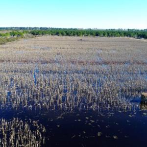 Photo of UNDER CONTRACT!  151 Acres of Duck Hunting Land with Home Site in Hyde County NC!