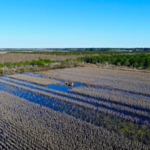 Photo of UNDER CONTRACT!  151 Acres of Duck Hunting Land with Home Site in Hyde County NC!
