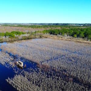 Photo of UNDER CONTRACT!  151 Acres of Duck Hunting Land with Home Site in Hyde County NC!
