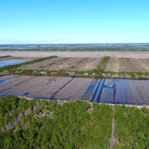 Photo of UNDER CONTRACT!  151 Acres of Duck Hunting Land with Home Site in Hyde County NC!