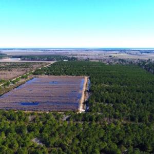 Photo of UNDER CONTRACT!  151 Acres of Duck Hunting Land with Home Site in Hyde County NC!