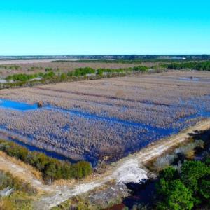 Photo of UNDER CONTRACT!  151 Acres of Duck Hunting Land with Home Site in Hyde County NC!