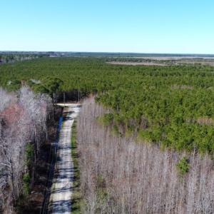 Photo of UNDER CONTRACT!  151 Acres of Duck Hunting Land with Home Site in Hyde County NC!