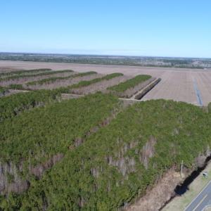 Photo of UNDER CONTRACT!  151 Acres of Duck Hunting Land with Home Site in Hyde County NC!