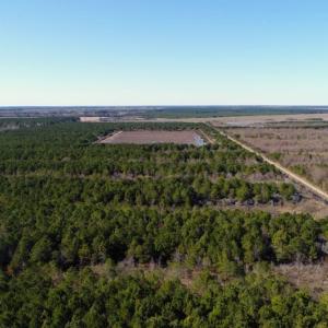 Photo of UNDER CONTRACT!  151 Acres of Duck Hunting Land with Home Site in Hyde County NC!