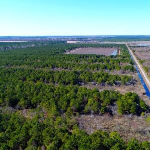 Photo of UNDER CONTRACT!  151 Acres of Duck Hunting Land with Home Site in Hyde County NC!