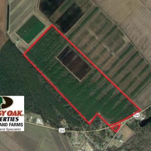 Photo of UNDER CONTRACT!  151 Acres of Duck Hunting Land with Home Site in Hyde County NC!