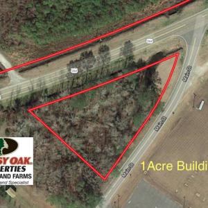 Photo of UNDER CONTRACT!  151 Acres of Duck Hunting Land with Home Site in Hyde County NC!