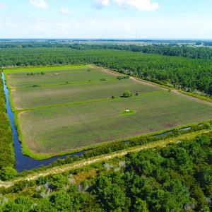 Photo of UNDER CONTRACT!  151 Acres of Duck Hunting Land with Home Site in Hyde County NC!