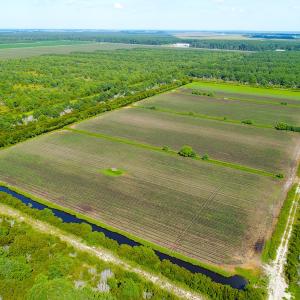 Photo of UNDER CONTRACT!  151 Acres of Duck Hunting Land with Home Site in Hyde County NC!