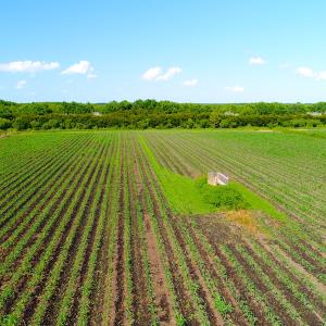 Photo of UNDER CONTRACT!  151 Acres of Duck Hunting Land with Home Site in Hyde County NC!