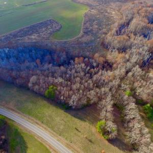 Photo of SOLD!  1.13 Acres of Residential Land For Sale In Halifax County NC!