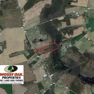 Photo of SOLD!  21 Acres of Farm and Timber Land For Sale in Perquimans County NC!