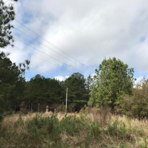 Photo of SOLD!  21 Acres of Farm and Timber Land For Sale in Perquimans County NC!