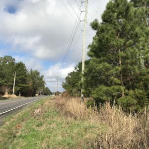 Photo of SOLD!  21 Acres of Farm and Timber Land For Sale in Perquimans County NC!