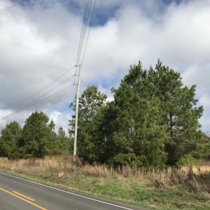 Photo of SOLD!  21 Acres of Farm and Timber Land For Sale in Perquimans County NC!