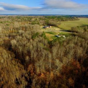 Photo of SOLD!  4.16 Acres of Residential Land For Sale In Halifax County NC!