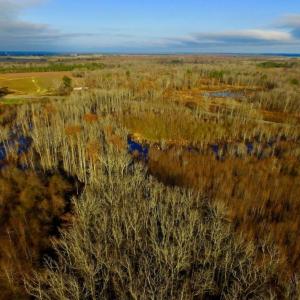 Photo of SOLD!  4.16 Acres of Residential Land For Sale In Halifax County NC!