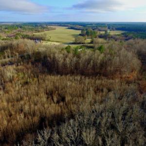 Photo of SOLD!  4.16 Acres of Residential Land For Sale In Halifax County NC!