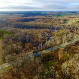 Photo of SOLD!  4.16 Acres of Residential Land For Sale In Halifax County NC!