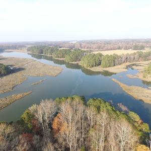 Photo of UNDER CONTRACT!  98 Acres of Waterfront Land For Sale in Isle of Wight County VA!
