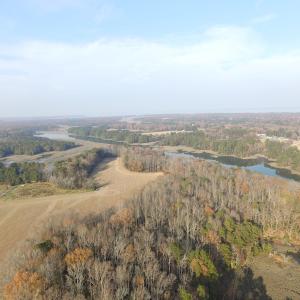 Photo of UNDER CONTRACT!  98 Acres of Waterfront Land For Sale in Isle of Wight County VA!