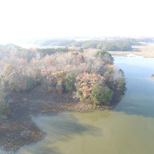 Photo of UNDER CONTRACT!  98 Acres of Waterfront Land For Sale in Isle of Wight County VA!