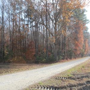 Photo of UNDER CONTRACT!  98 Acres of Waterfront Land For Sale in Isle of Wight County VA!