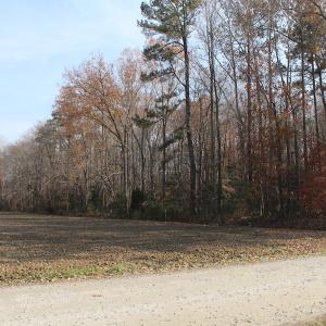 Photo of UNDER CONTRACT!  98 Acres of Waterfront Land For Sale in Isle of Wight County VA!