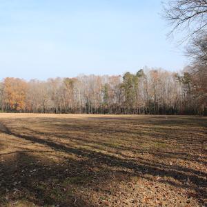 Photo of UNDER CONTRACT!  98 Acres of Waterfront Land For Sale in Isle of Wight County VA!