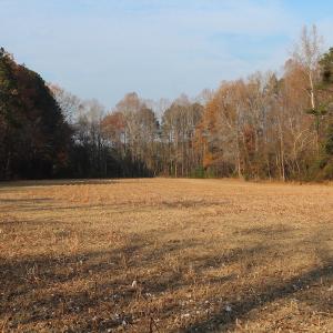 Photo of UNDER CONTRACT!  98 Acres of Waterfront Land For Sale in Isle of Wight County VA!