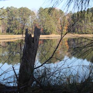 Photo of UNDER CONTRACT!  98 Acres of Waterfront Land For Sale in Isle of Wight County VA!