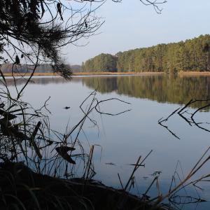 Photo of UNDER CONTRACT!  98 Acres of Waterfront Land For Sale in Isle of Wight County VA!