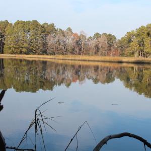 Photo of UNDER CONTRACT!  98 Acres of Waterfront Land For Sale in Isle of Wight County VA!