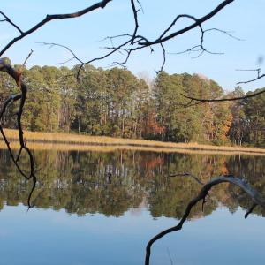 Photo of UNDER CONTRACT!  98 Acres of Waterfront Land For Sale in Isle of Wight County VA!