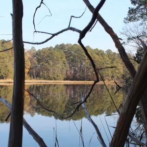 Photo of UNDER CONTRACT!  98 Acres of Waterfront Land For Sale in Isle of Wight County VA!