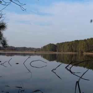 Photo of UNDER CONTRACT!  98 Acres of Waterfront Land For Sale in Isle of Wight County VA!