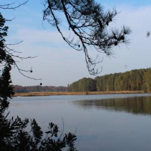 Photo of UNDER CONTRACT!  98 Acres of Waterfront Land For Sale in Isle of Wight County VA!