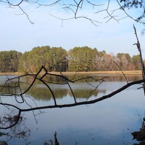 Photo of UNDER CONTRACT!  98 Acres of Waterfront Land For Sale in Isle of Wight County VA!
