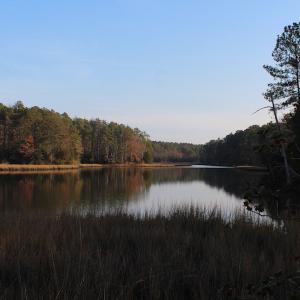 Photo of UNDER CONTRACT!  98 Acres of Waterfront Land For Sale in Isle of Wight County VA!