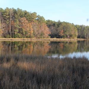 Photo of UNDER CONTRACT!  98 Acres of Waterfront Land For Sale in Isle of Wight County VA!