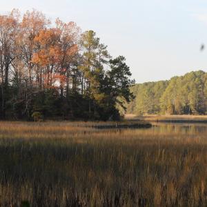Photo of UNDER CONTRACT!  98 Acres of Waterfront Land For Sale in Isle of Wight County VA!