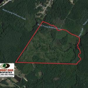 Photo of UNDER CONTRACT!  87 Acres of Hunting and Timber Land For Sale in Harnett County NC!