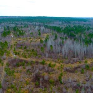 Photo of UNDER CONTRACT!  87 Acres of Hunting and Timber Land For Sale in Harnett County NC!