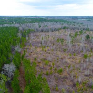 Photo of UNDER CONTRACT!  87 Acres of Hunting and Timber Land For Sale in Harnett County NC!