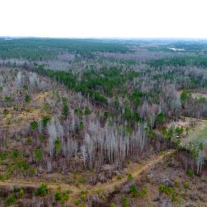 Photo of UNDER CONTRACT!  87 Acres of Hunting and Timber Land For Sale in Harnett County NC!