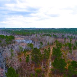 Photo of UNDER CONTRACT!  87 Acres of Hunting and Timber Land For Sale in Harnett County NC!