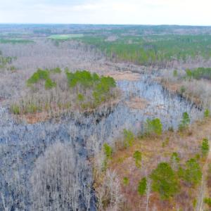 Photo of UNDER CONTRACT!  87 Acres of Hunting and Timber Land For Sale in Harnett County NC!