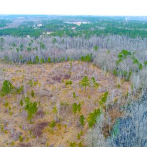 Photo of UNDER CONTRACT!  87 Acres of Hunting and Timber Land For Sale in Harnett County NC!