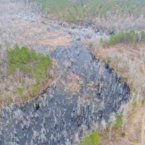 Photo of UNDER CONTRACT!  87 Acres of Hunting and Timber Land For Sale in Harnett County NC!
